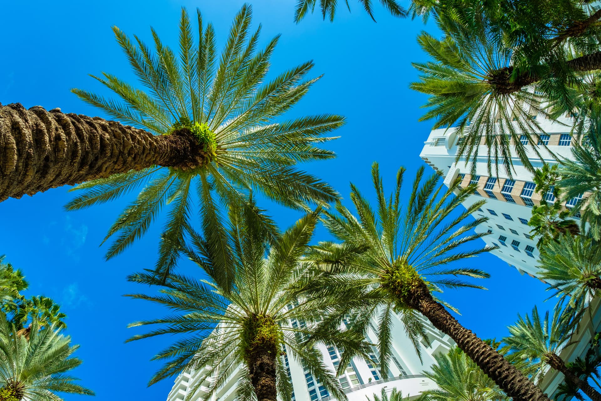 AdobeStock_131761746.jpeg